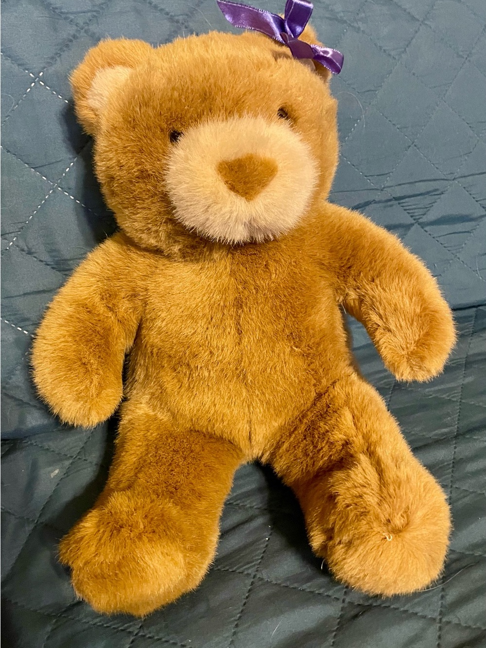 Retired Lil Cub BAB with Purple Bow - Soft Kids Toy